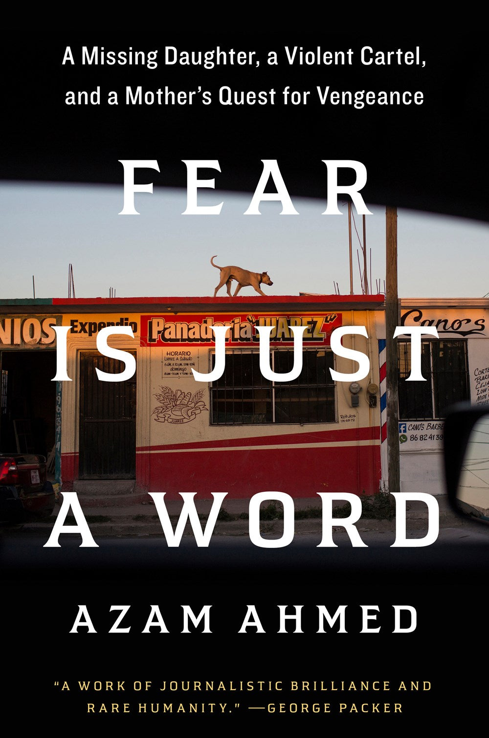 Fear is Just a Word